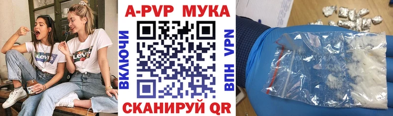 OMG tor  Касимов  Альфа ПВП СК 