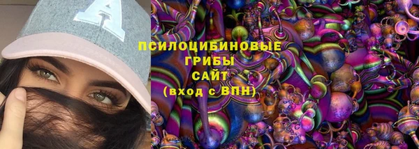 гашик Абаза