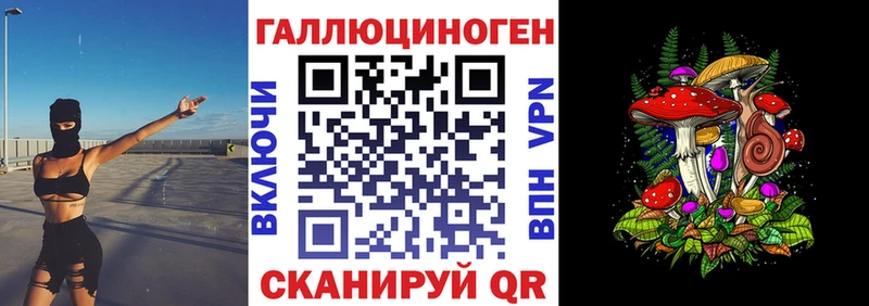 наркотики  Касимов  мега как войти  Псилоцибиновые грибы MAGIC MUSHROOMS 
