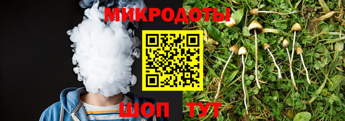 Галлюциногенные грибы Psilocybe  где найти наркотики  Вход с VPN  Касимов  Псилоцибиновые грибы Magic Shrooms 